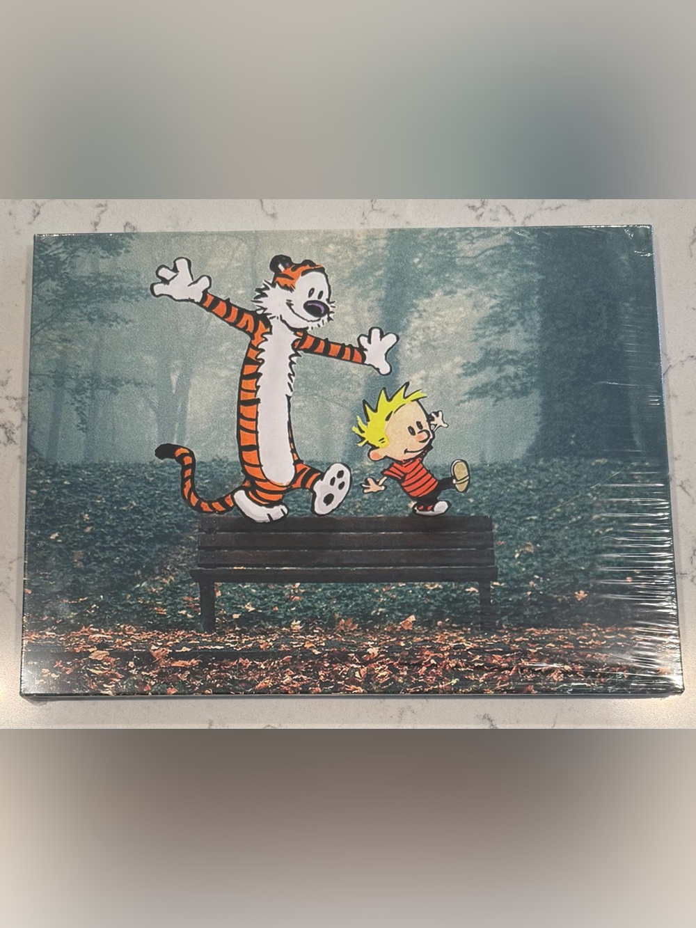 New Calvin And Hobbes Canvas Wall Art Print - Kids Cartoon Framed Wall Hanging